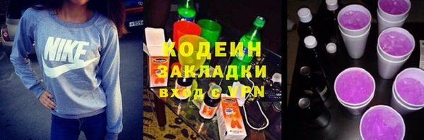 хмурый Инсар