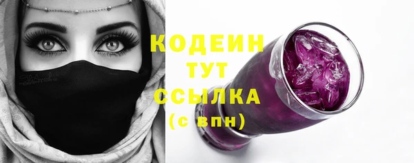 хмурый Инсар