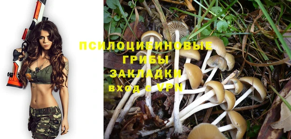 гидра Иннополис