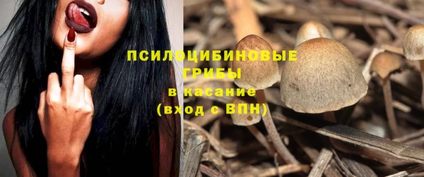 гидра Иннополис