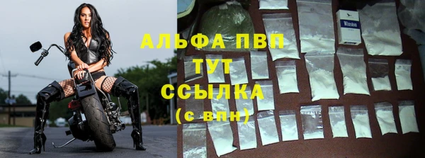 гидра Иннополис