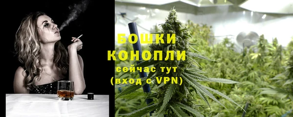 хмурый Инсар