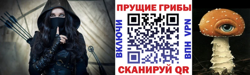 Галлюциногенные грибы мицелий Каргополь